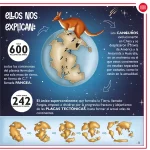 Por qué hay tantos canguros en Australia_página interior_03