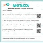 Página de cuaderno ¿Por qué respiramos?